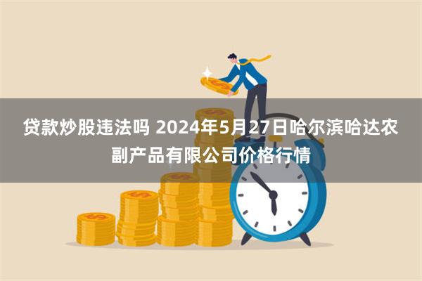 贷款炒股违法吗 2024年5月27日哈尔滨哈达农副产品有限公司价格行情