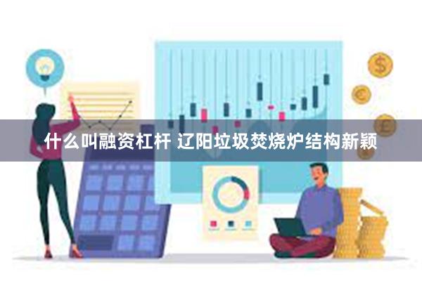 什么叫融资杠杆 辽阳垃圾焚烧炉结构新颖