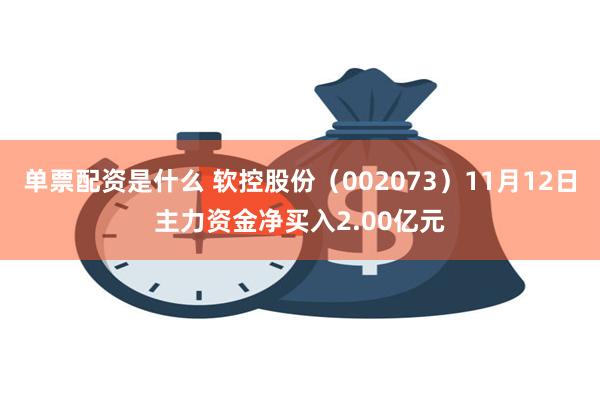 单票配资是什么 软控股份（002073）11月12日主力资金净买入2.00亿元