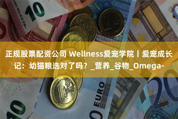 正规股票配资公司 Wellness爱宠学院丨爱宠成长记：幼猫粮选对了吗？_营养_谷物_Omega-