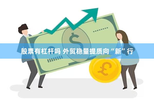 股票有杠杆吗 外贸稳量提质向“新”行