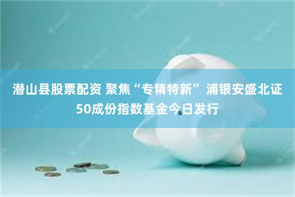 潜山县股票配资 聚焦“专精特新” 浦银安盛北证50成份指数基