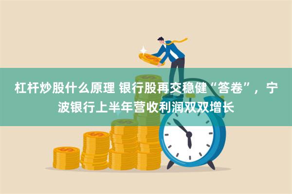 杠杆炒股什么原理 银行股再交稳健“答卷”，宁波银行上半年营收