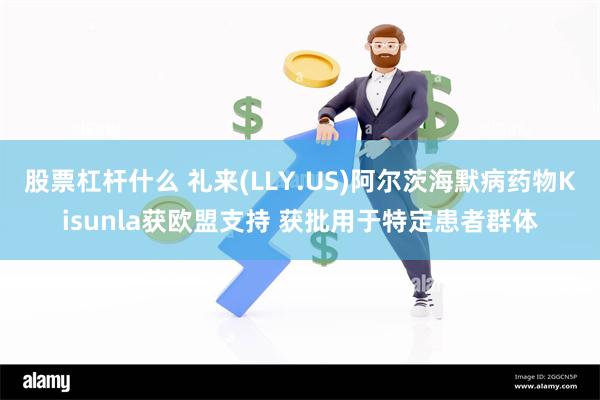 股票杠杆什么 礼来(LLY.US)阿尔茨海默病药物Kisun