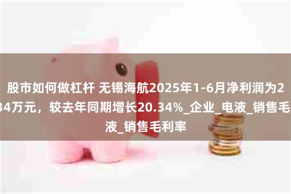 股市如何做杠杆 无锡海航2025年1-6月净利润为270.3