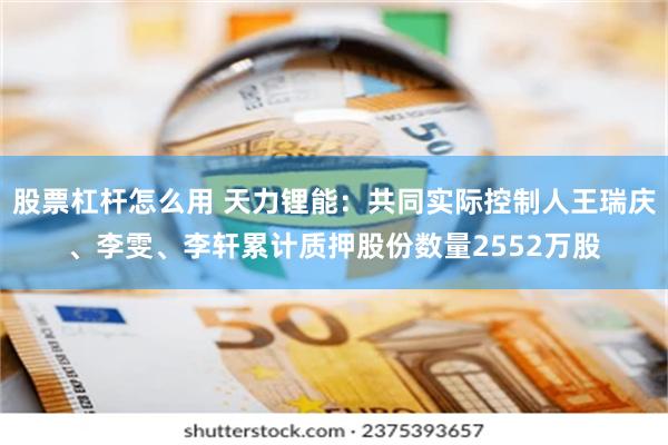 股票杠杆怎么用 天力锂能：共同实际控制人王瑞庆、李雯、李轩累